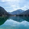 Plansee van Jessica Van Wynsberge
