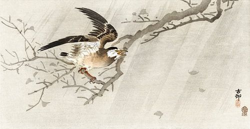 Grauwe spreeuw in storm, Ohara Koson