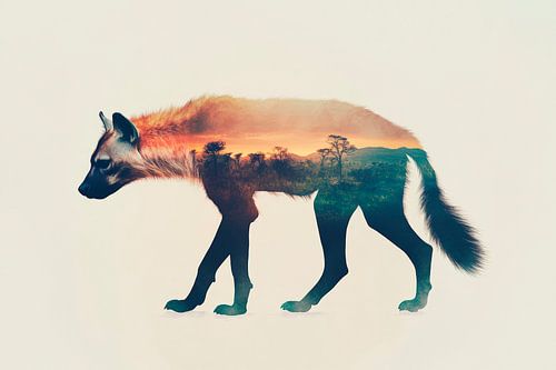 Animal landscape by Poster Art Shop