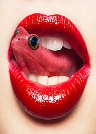 Kiss Frog