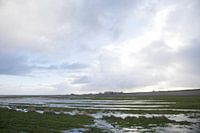 Het Frykse wad, Moddergat