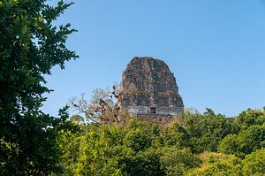 Guatemala: Tikal (Yax Mutal)