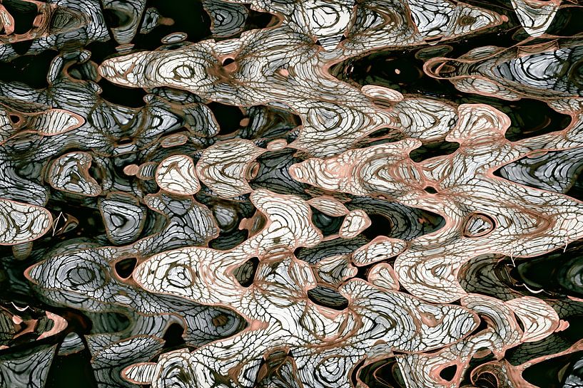 Paprna org van GOOR abstracten