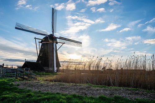 Molen van Goudriaan van Hans Goudriaan