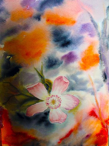 zarte Clematisblüte