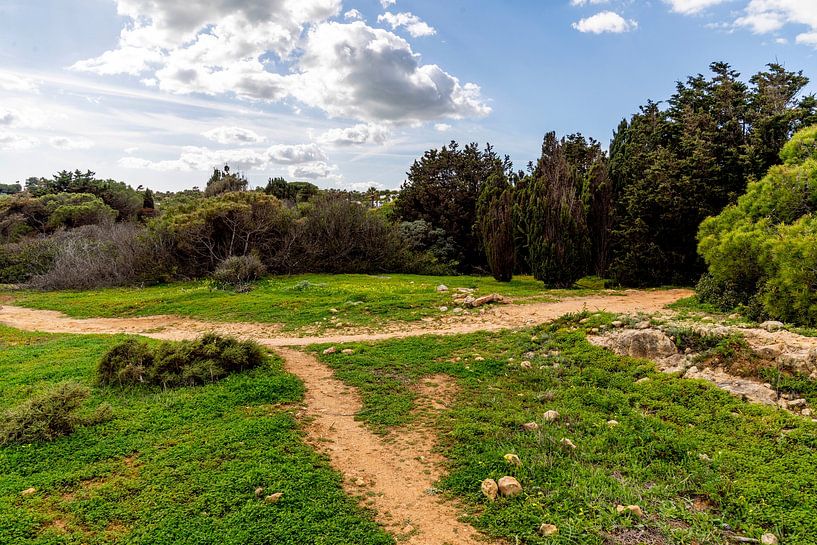 Op de kliffen van Albufeira | groen | rustgevend | Portugal van Femke Ketelaar