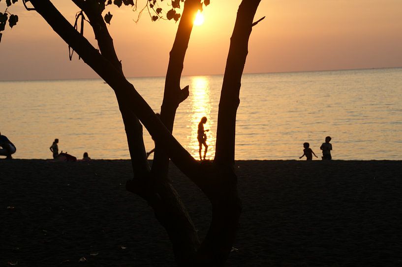 sunset by the sea by wil spijker