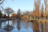 Halbgefrorener Teich