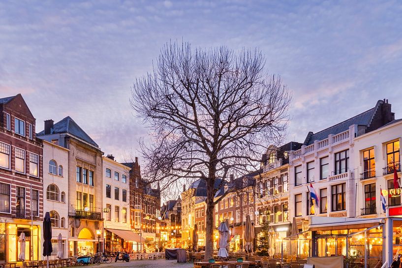Het Buitenhof in Den haag van Martin Bergsma