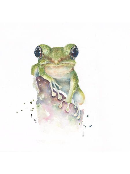 Frog in watercolour by Atelier DT