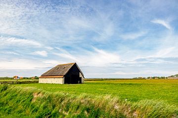 sheep pen Texel South by Texel360Fotografie Richard Heerschap