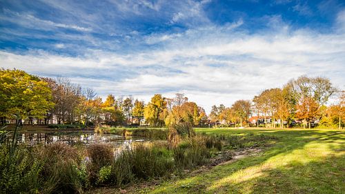 King's Park in Autumn colours