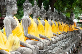 Buddha's in Ayuthaya