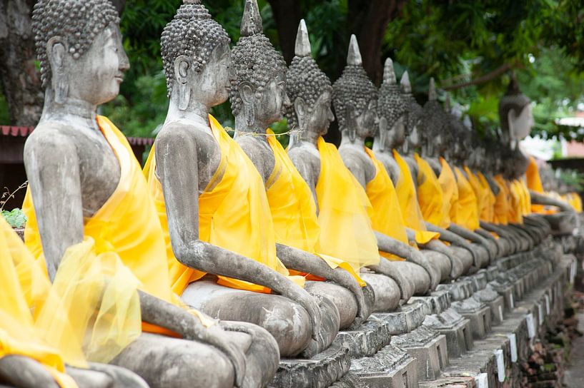 Buddha's in Ayuthaya van Sebastiaan Hamming