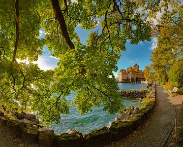 Schloss Chateau de Chillon mit herbstlich gefärbten Bäumen, Veytaux, Waadt, Schweiz