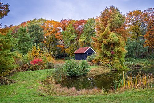 Ontdek de Betovering van Arboretum Poort Bulten!