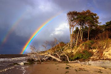 rainbow over the beach by Daniela Beyer