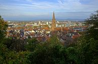 Herfst ochtend in Freiburg van Patrick Lohmüller thumbnail