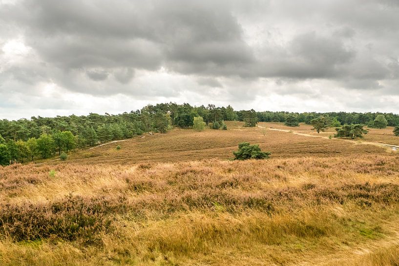 landschap, Limburg van Joep Deumes