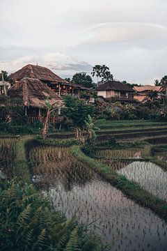 Authentiek tropisch uitzicht in Bali, Indonesië van Troy Wegman