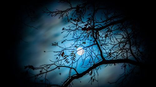 Gespenstische Nacht...