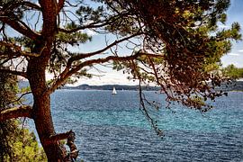 Côte d'Azur von Ken Kühlbrandt