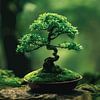 Gelassener Bonsai: Ein Moment des Zen von PublicArt77