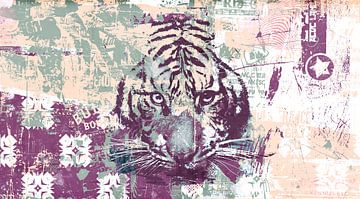 Le regard du tigre sur Teis Albers