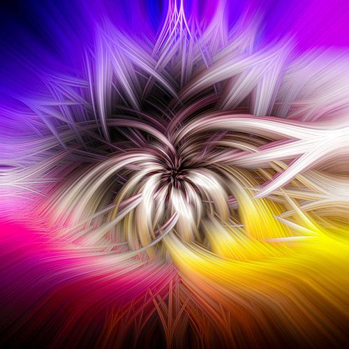 The fascinating world of Circumactus