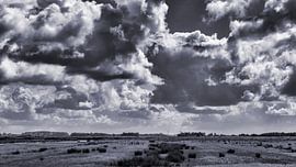 The North Dutch landscape in black and white on a lovely day at the beginning of summer by Hans de Waay