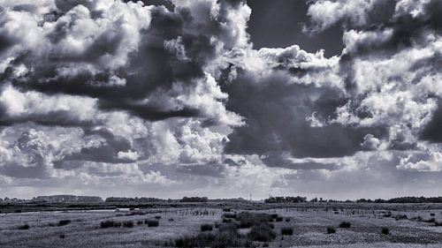 Het Noord Hollands landschap in zwart wit op een heerlijke dag aan het begin van de zomer