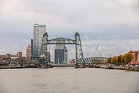 Trois ponts, le koningshavenbrug, le koningsbrug et l'erasmusbrug à Rotterdam.