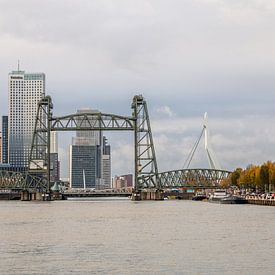 Drei Brücken, die Koningshavenbrug, Koningsbrug und Erasmusbrug in Rotterdam. von Janny Beimers