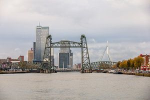 Drei Brücken, die Koningshavenbrug, Koningsbrug und Erasmusbrug in Rotterdam.