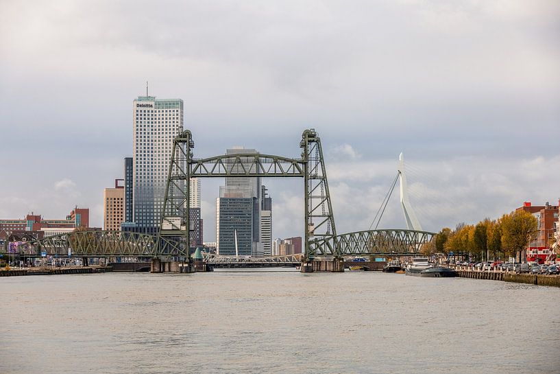 Three bridges, the koningshavenbrug, koningsbrug and erasmusbrug in Rotterdam. by Janny Beimers