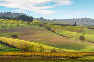 Automne en Toscane. Collines et vignobles à Castellina in Chianti sur Stefano Orazzini