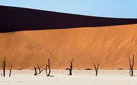 Deadvlei by Richard Guijt Photography thumbnail