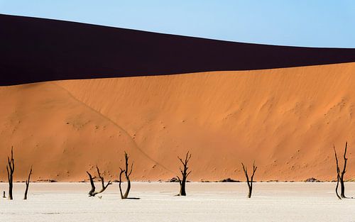 Deadvlei