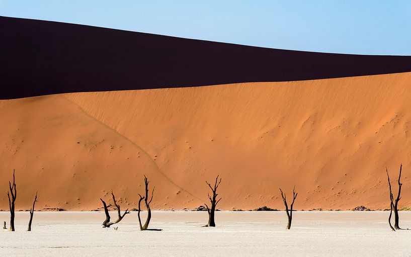 Deadvlei by Richard Guijt Photography