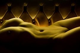 nu féminin sur canapé en cuir sur Jörg B. Schubert