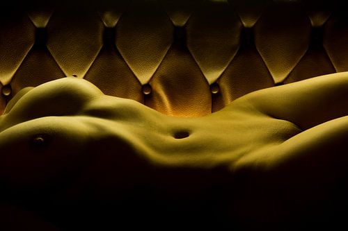 vrouwelijk naakt op leren bank