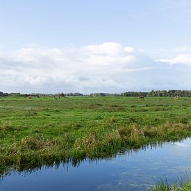 Niederländische Landschaft mit Kühen von Madelief Dekker