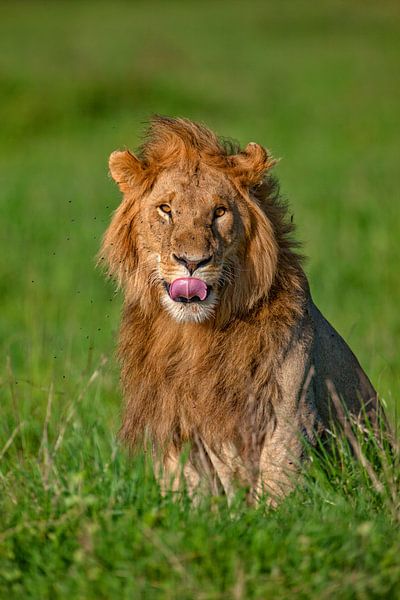 almost ready by Peter Michel