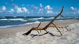 Strandgut von Heiko Kueverling