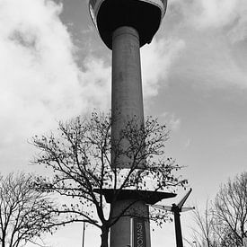 Euromast Rotterdam schwarz und weiß von Europhoto Netherlands