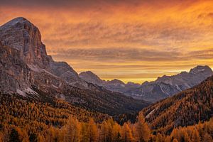 Explosion des couleurs III