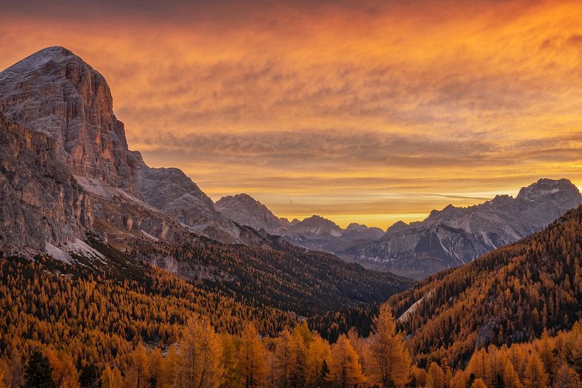 Explosion des couleurs III par Martin Podt