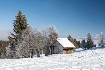 Winterlandschap van Christian Tobler
