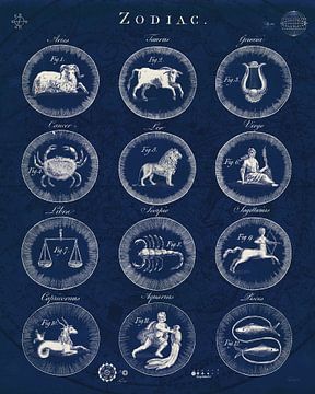 Zodiac Blueprint v2, Sue Schlabach