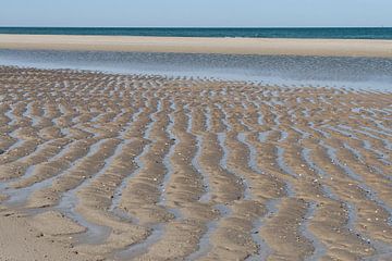 noordzeestrand Vlieland